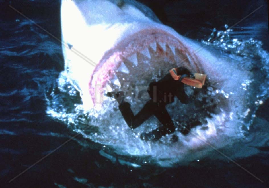 Shark Attack 3 Megalodon Picture