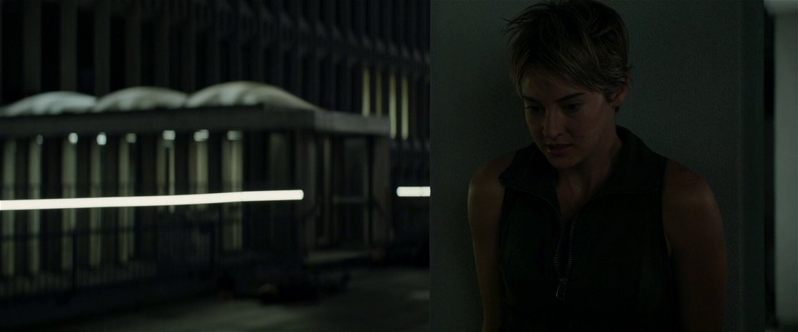 Insurgent