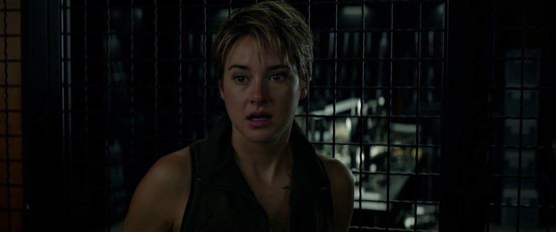Insurgent