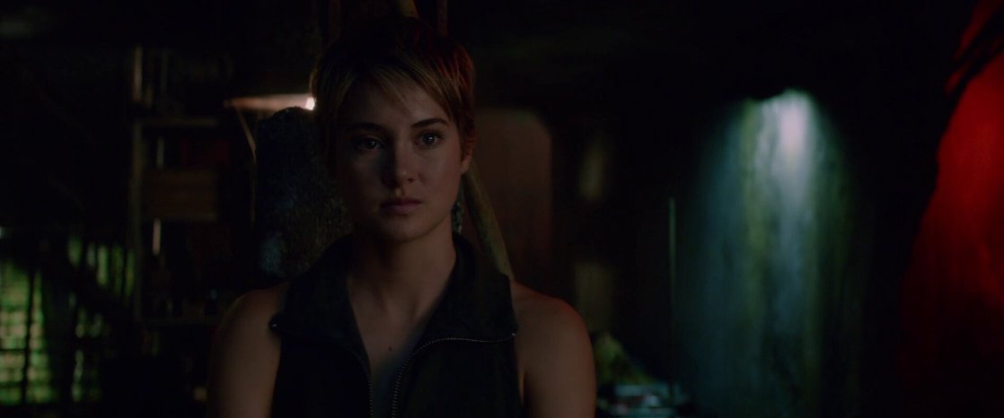 Insurgent