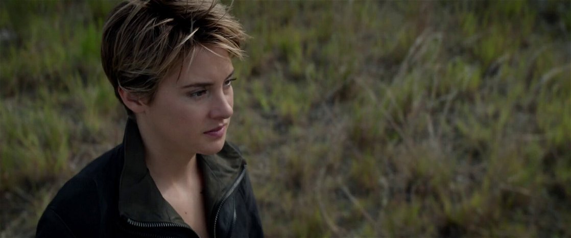 Insurgent
