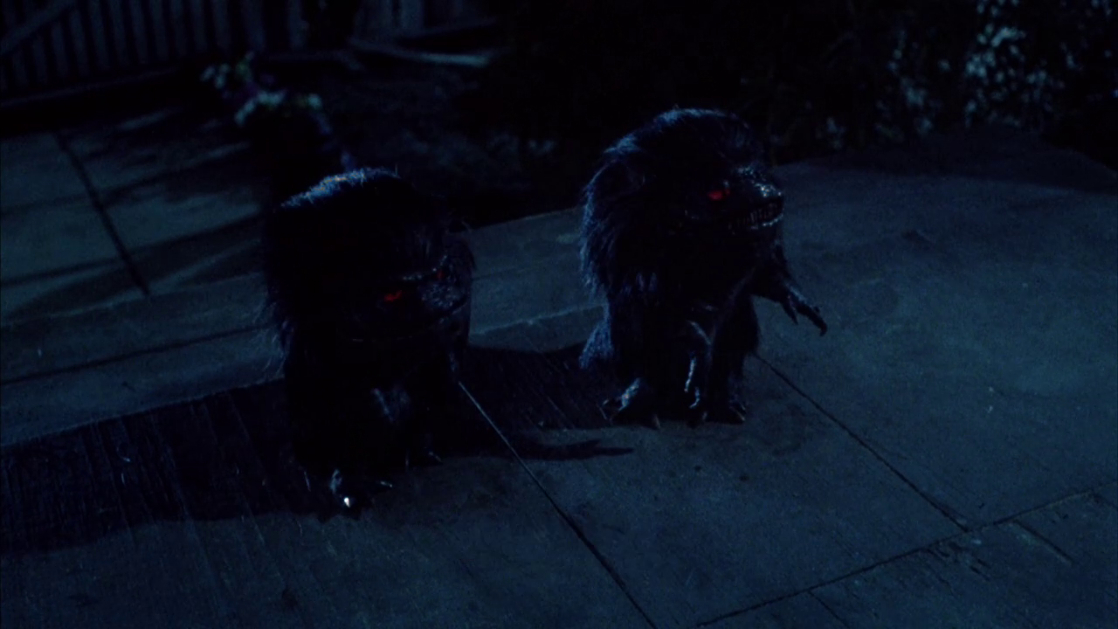 Critters Critters