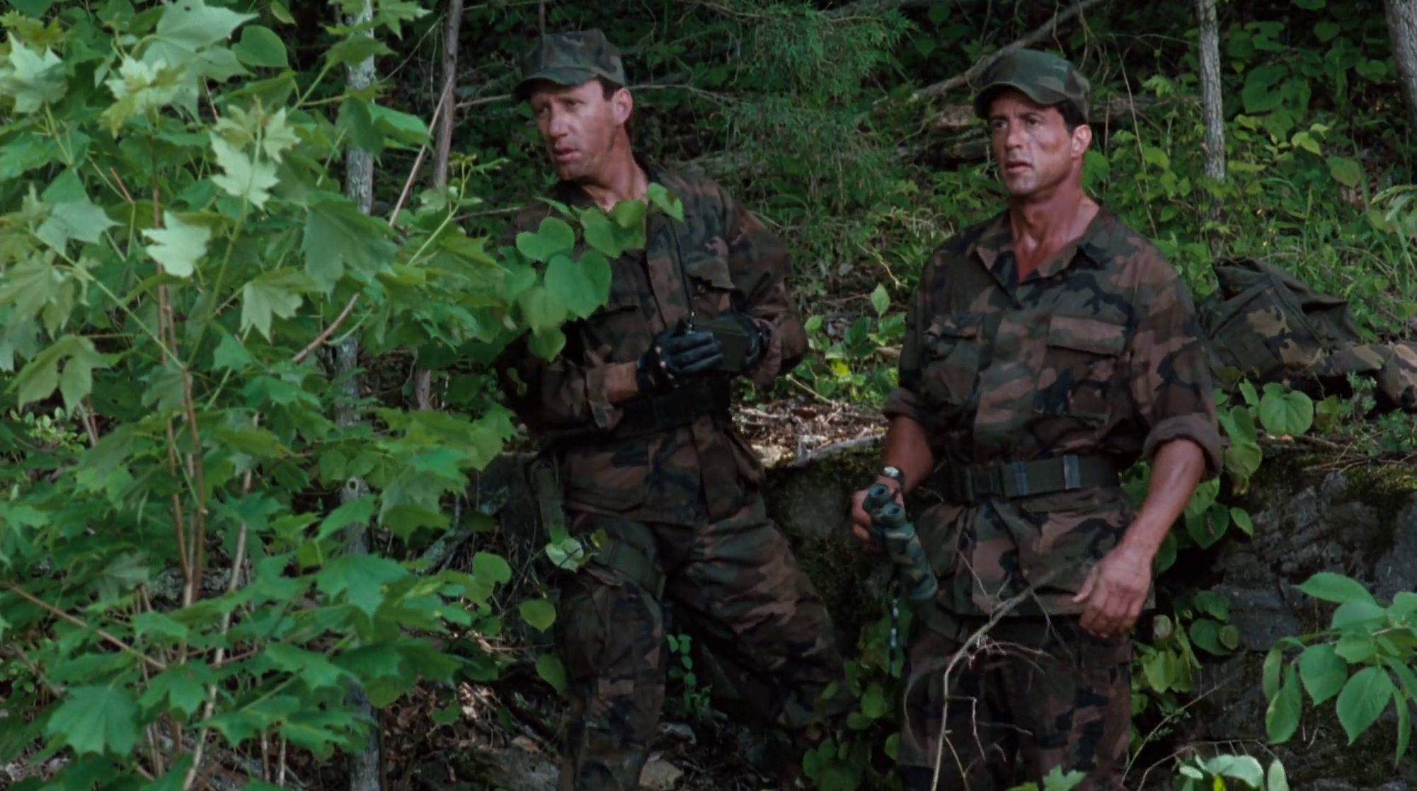 The Specialist The Specialist