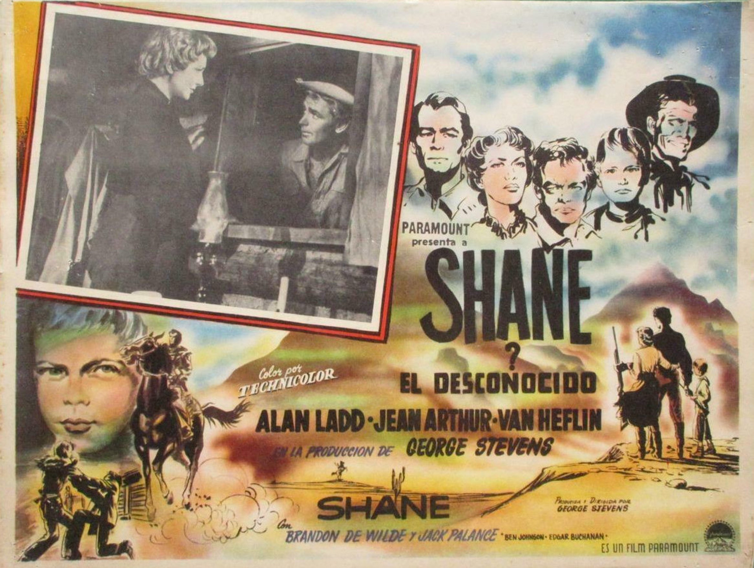 Shane Shane