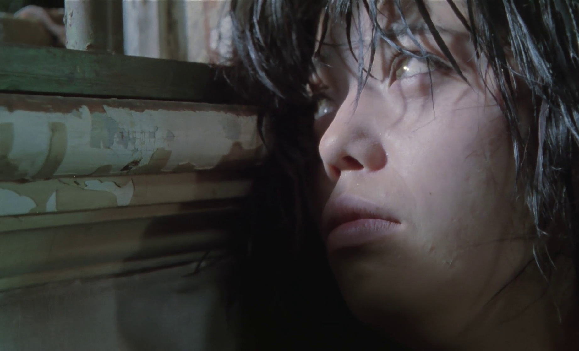 Picnic (1996)