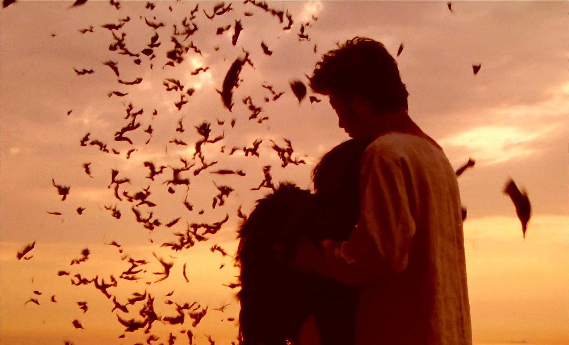 Picnic (1996) Picnic (1996)