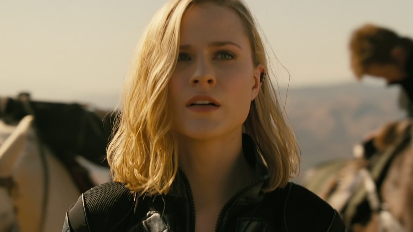 Dolores Abernathy - Westworld