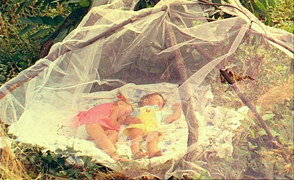 Le Bonheur Le Bonheur