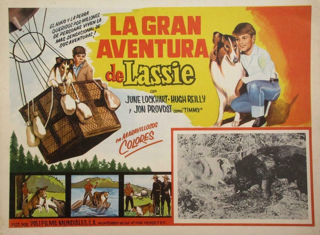 Lassie's Great Adventure