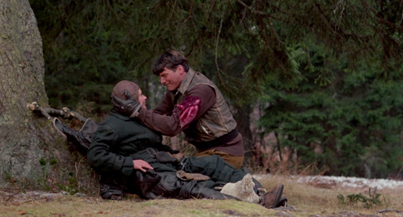 The Aviator