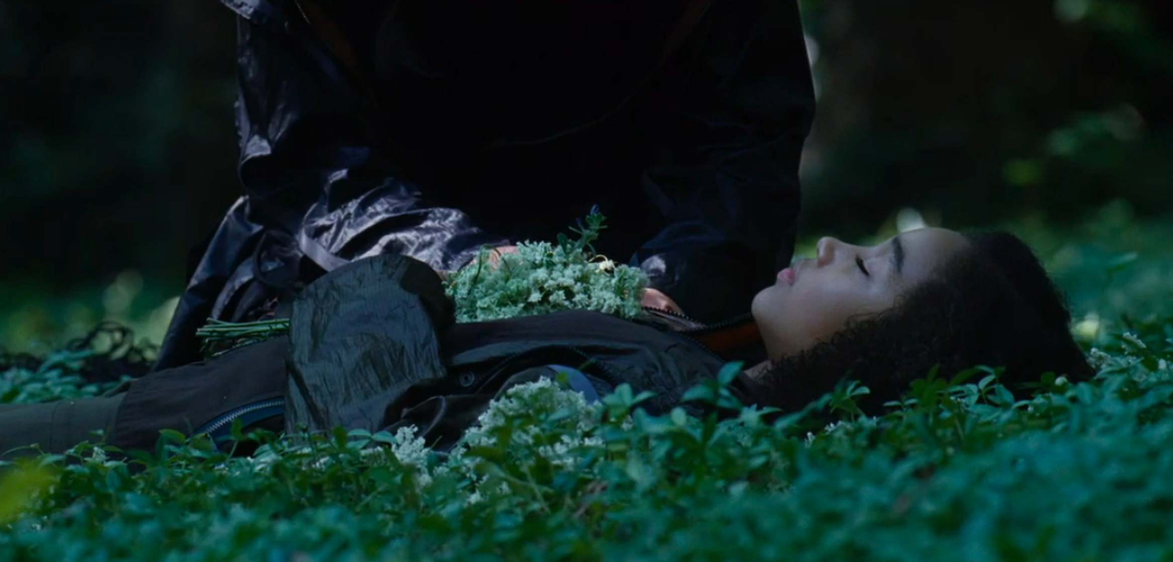 The Hunger Games