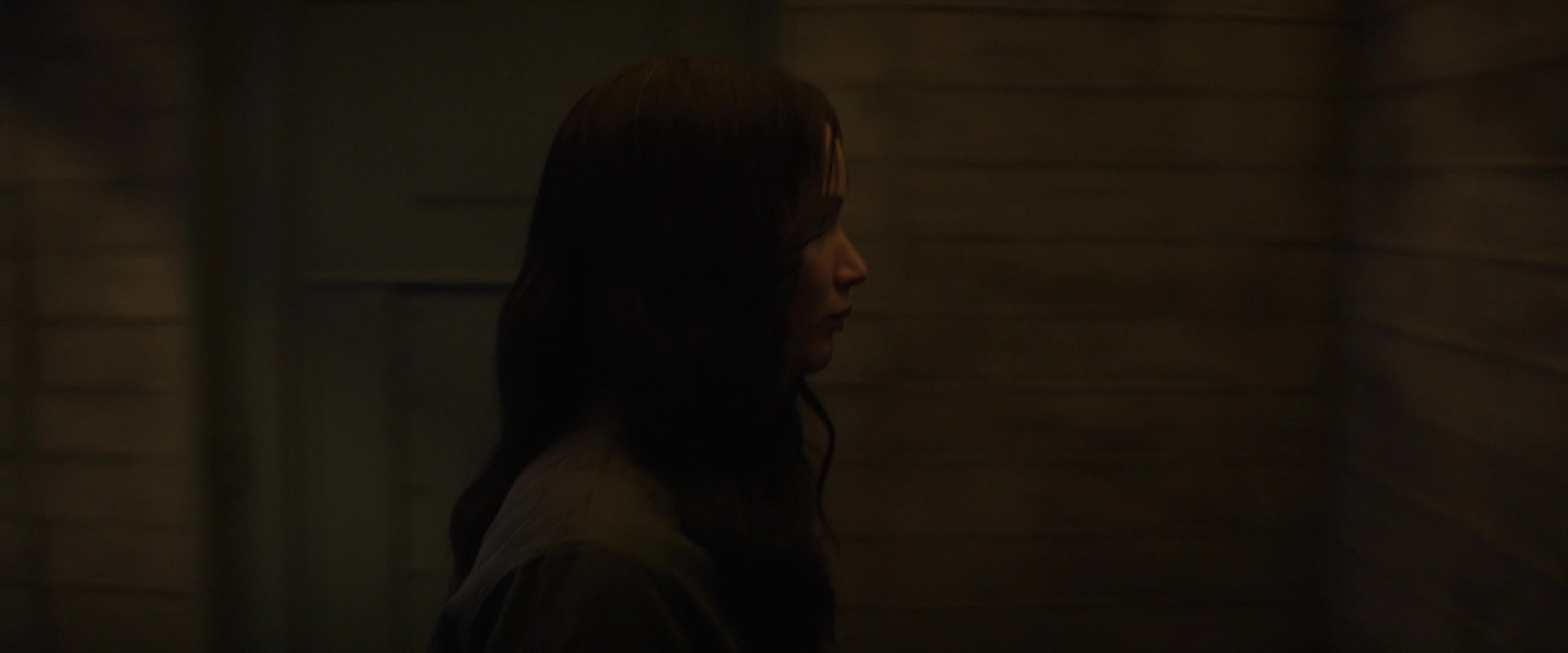 The Hunger Games: Mockingjay - Part 1