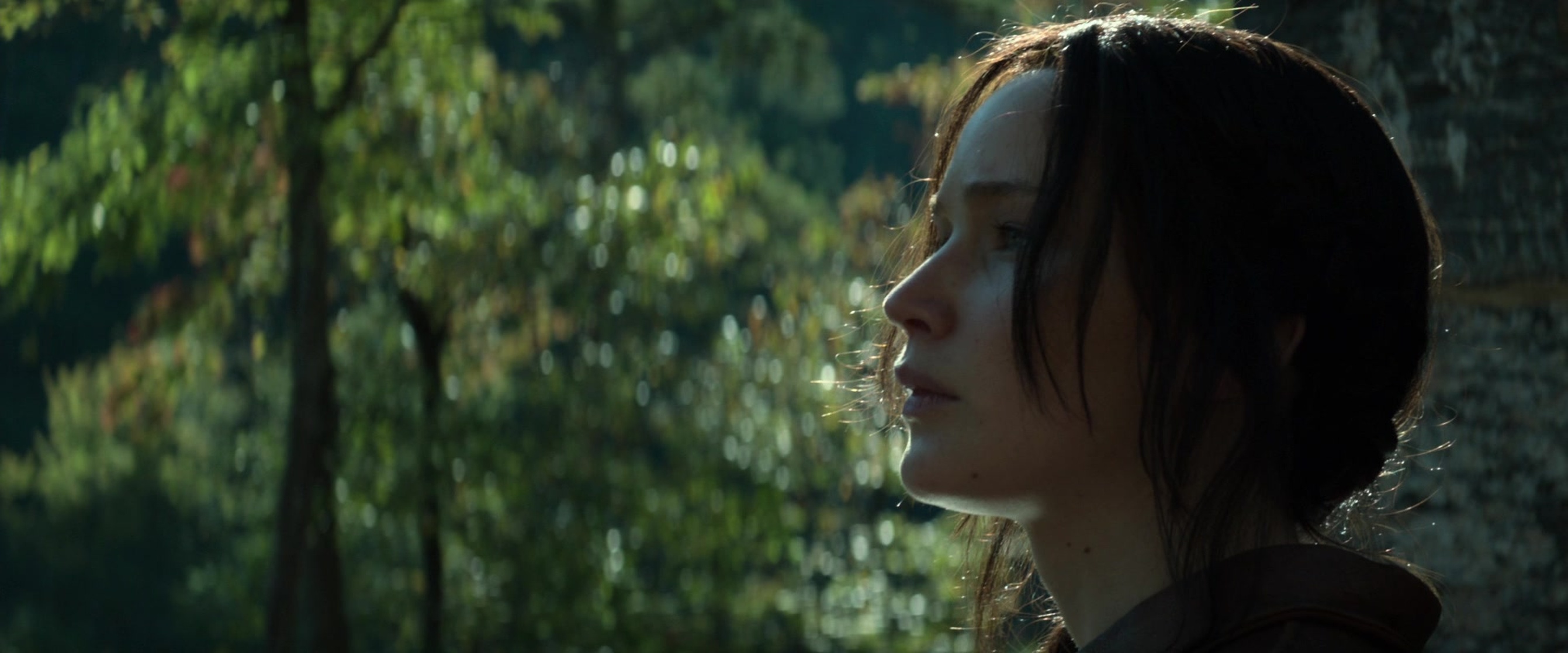 The Hunger Games: Mockingjay - Part 1