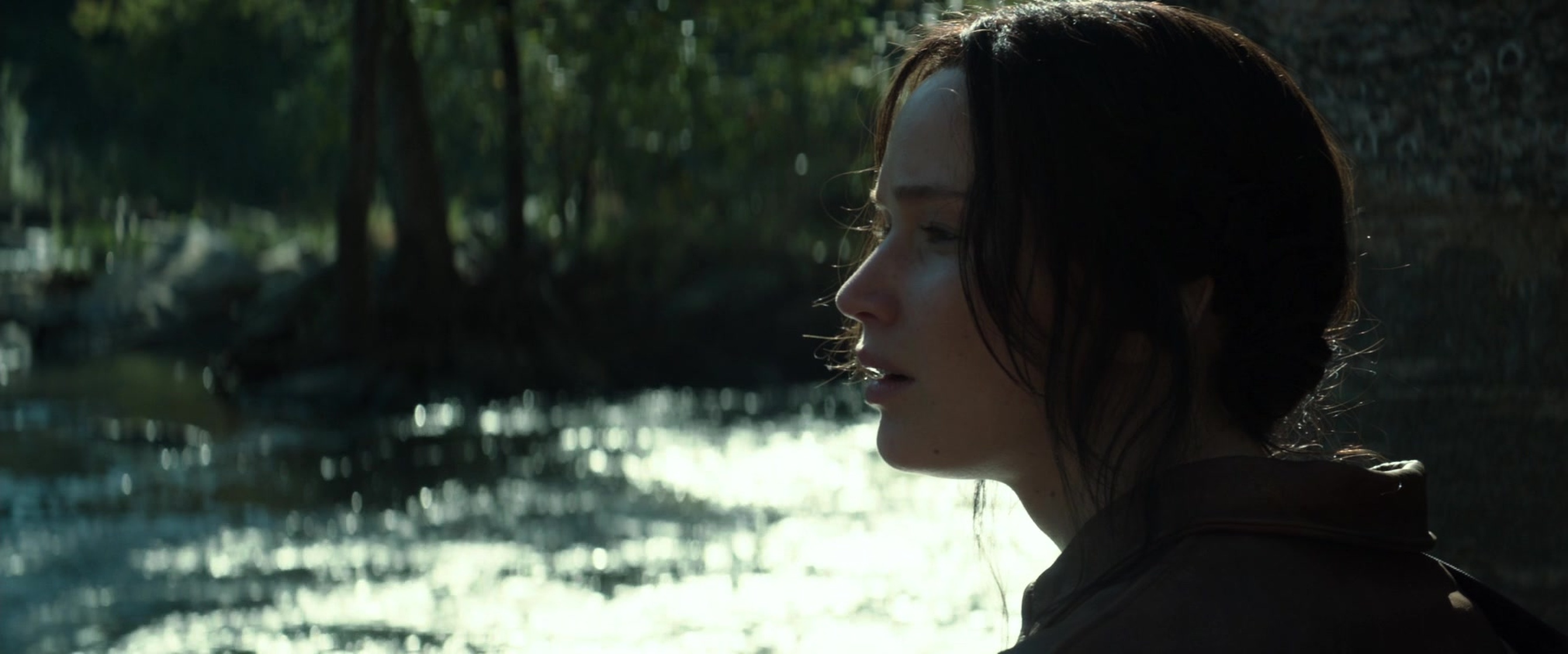 The Hunger Games: Mockingjay - Part 1