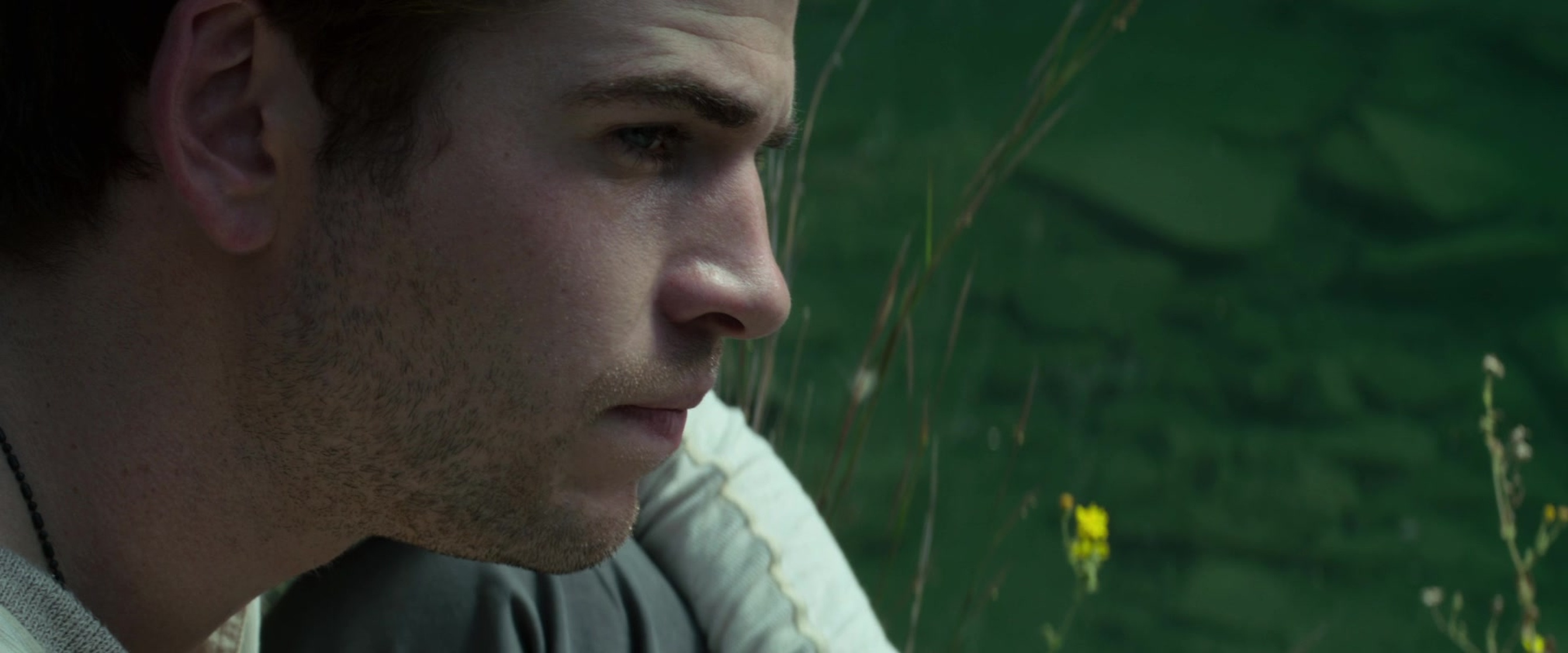 The Hunger Games: Mockingjay - Part 1