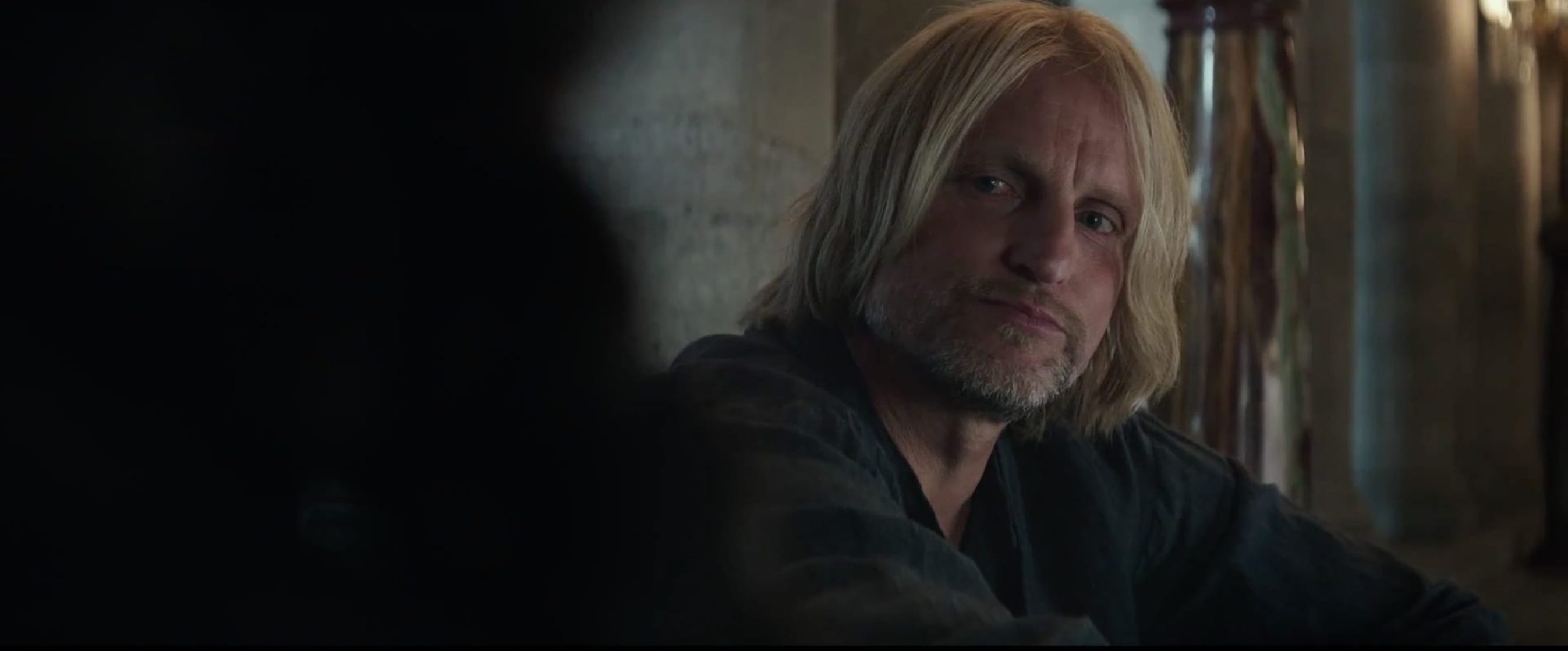 The Hunger Games: Mockingjay - Part 2