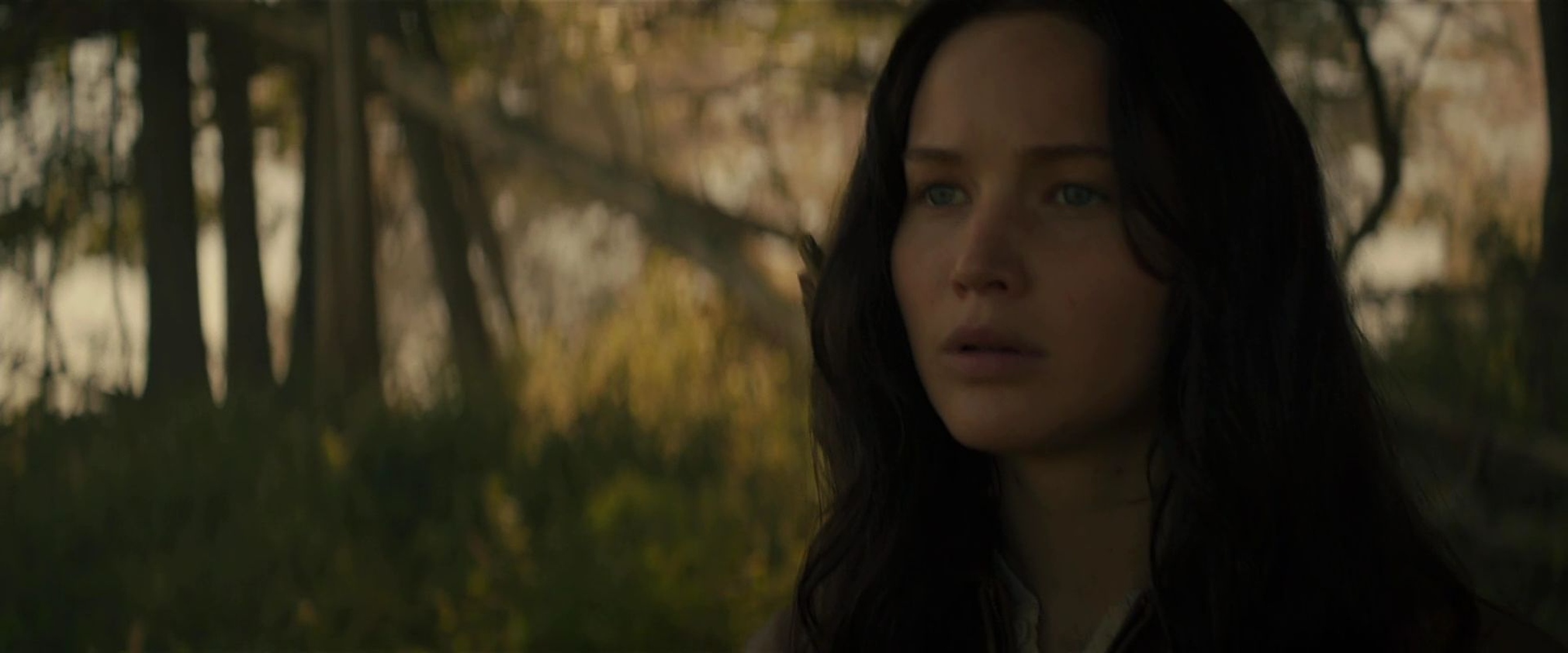 The Hunger Games: Mockingjay - Part 2