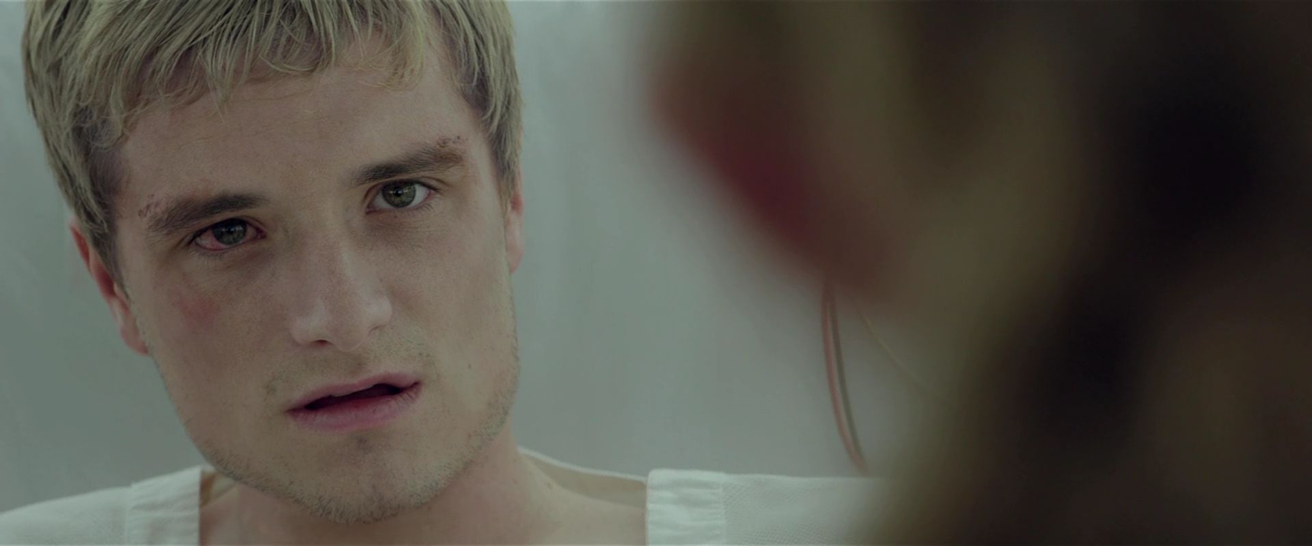 The Hunger Games: Mockingjay - Part 2