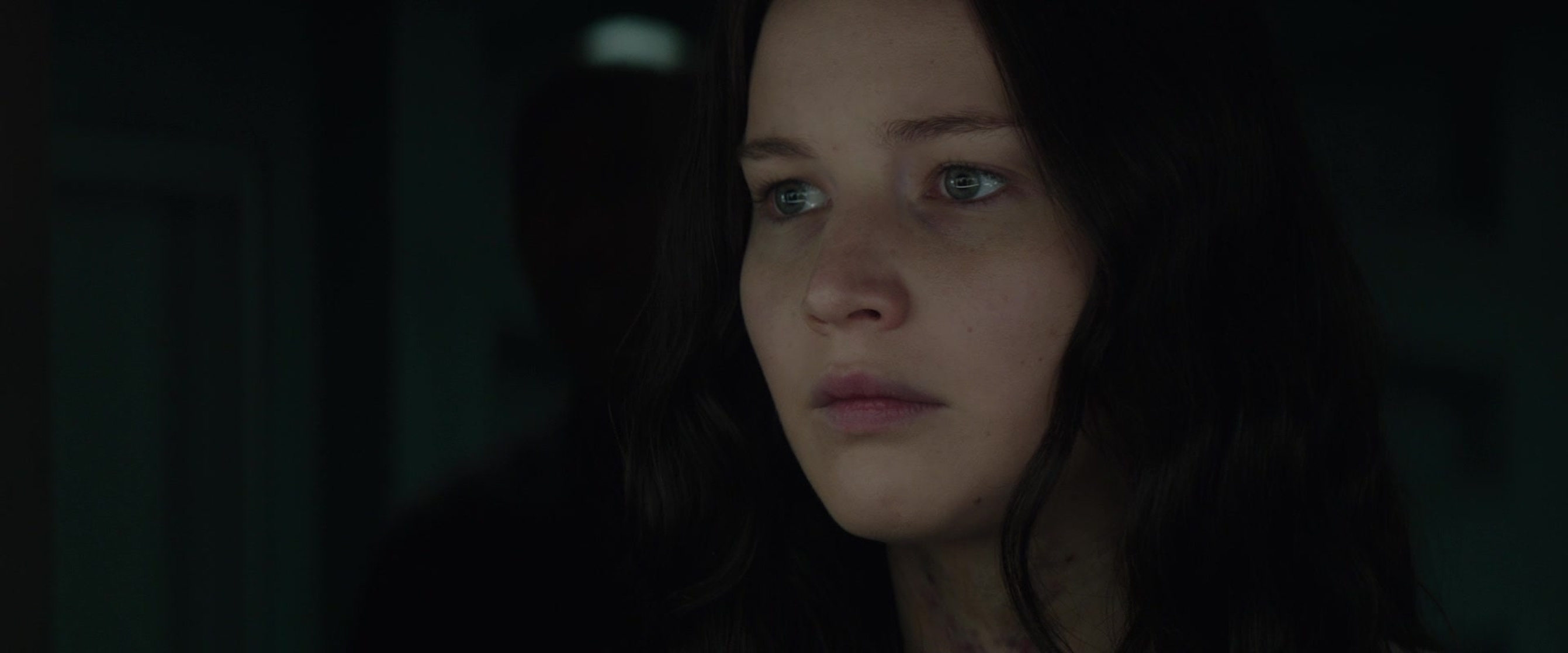 The Hunger Games: Mockingjay - Part 2