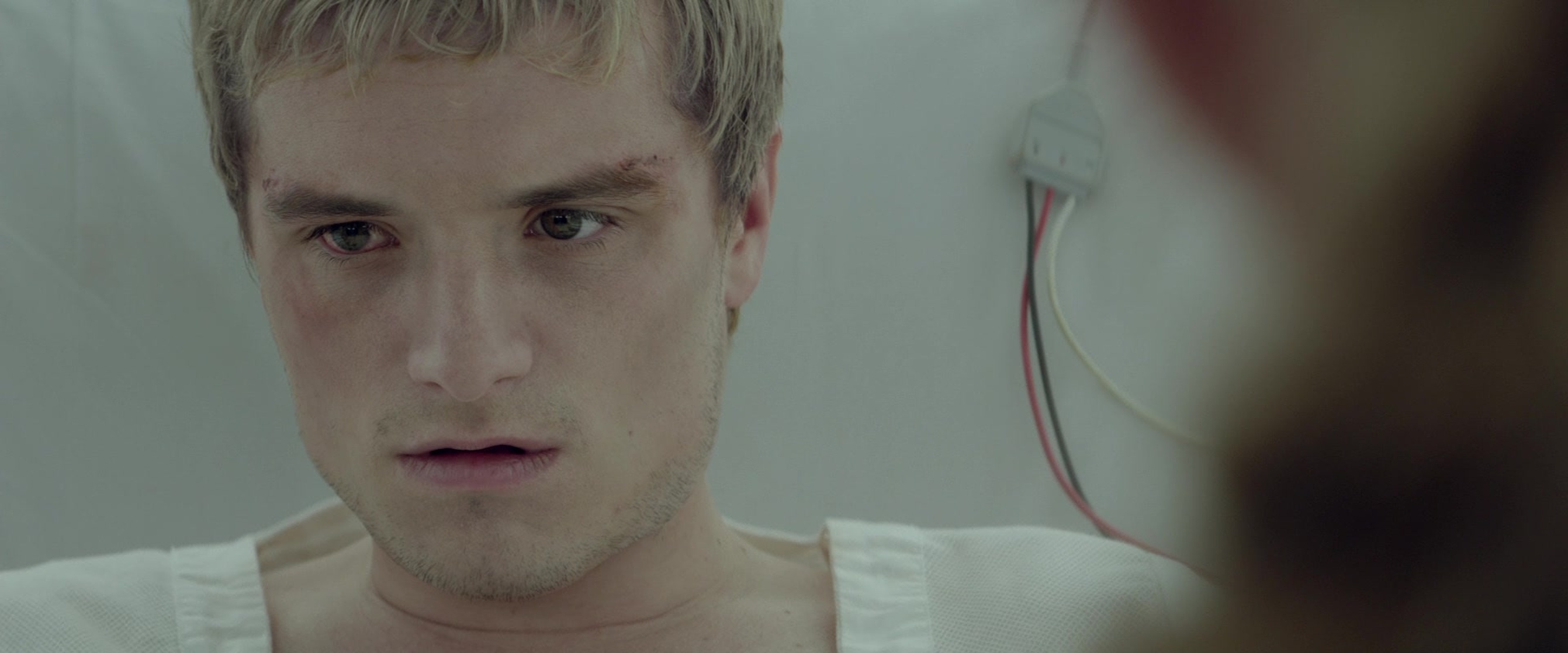 The Hunger Games: Mockingjay - Part 2