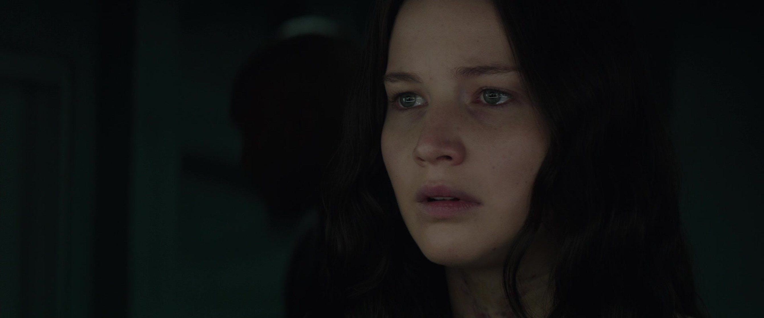 The Hunger Games: Mockingjay - Part 2