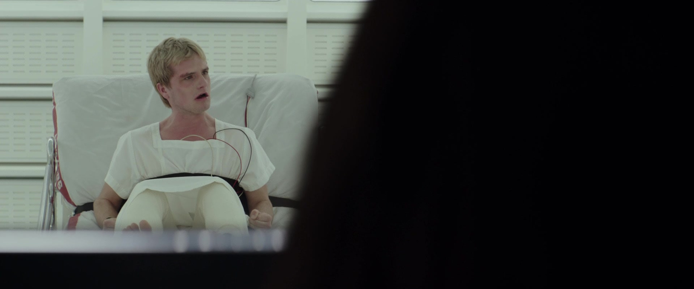 The Hunger Games: Mockingjay - Part 2