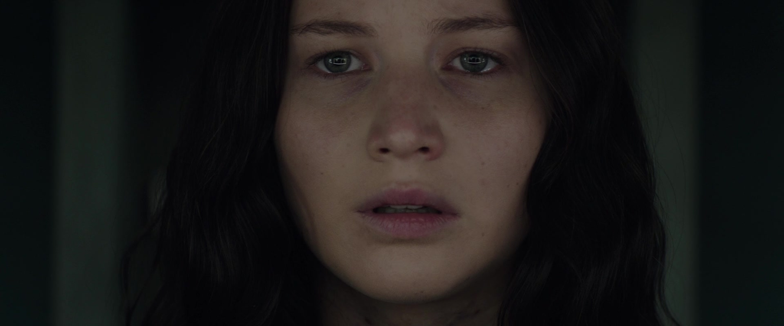 The Hunger Games: Mockingjay - Part 2