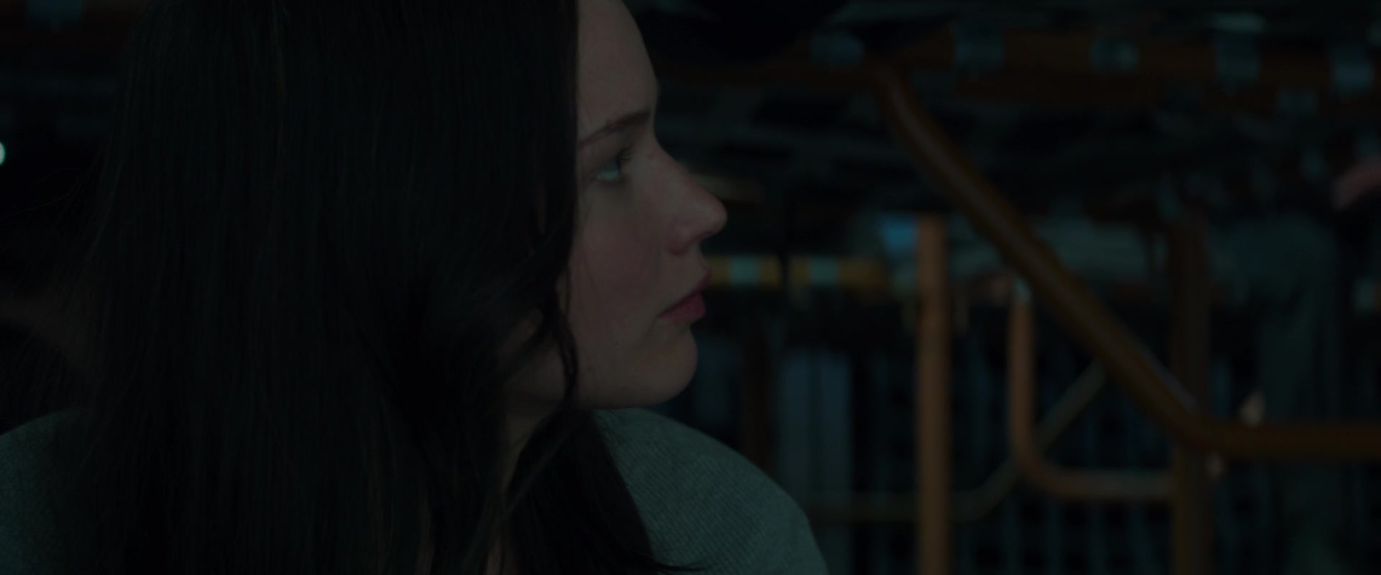 The Hunger Games: Mockingjay - Part 2