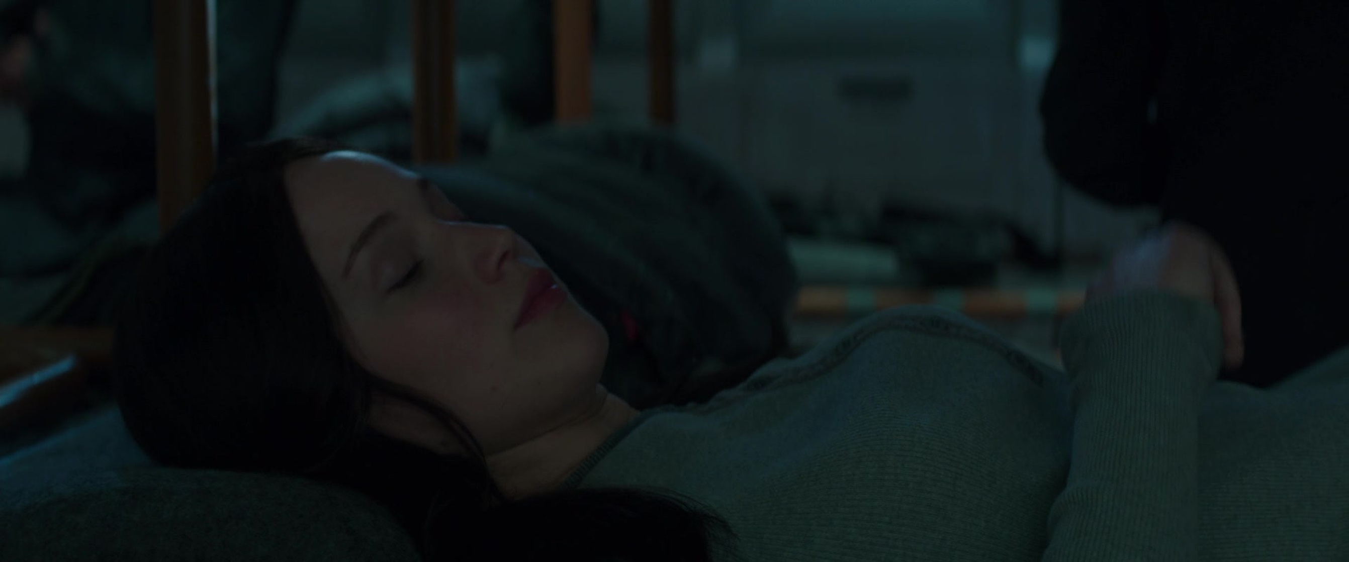 The Hunger Games: Mockingjay - Part 2