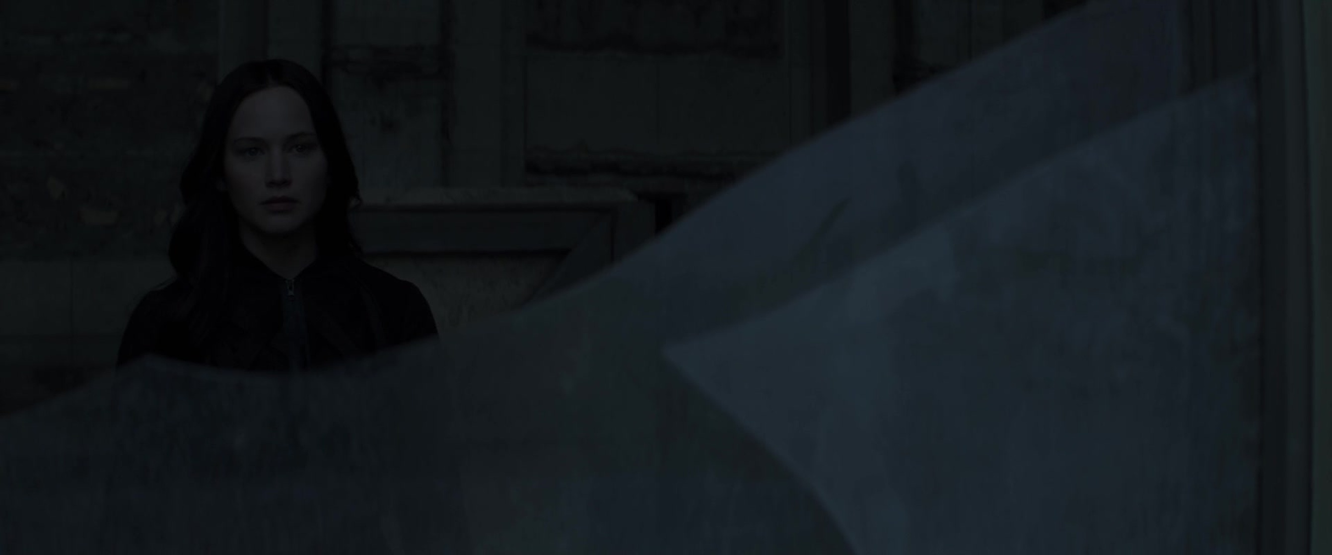 The Hunger Games: Mockingjay - Part 2