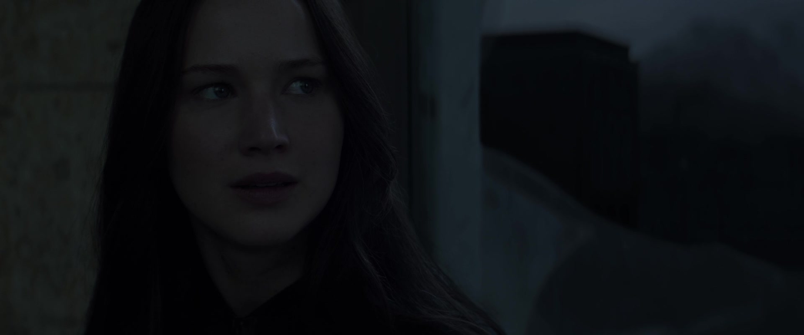 The Hunger Games: Mockingjay - Part 2