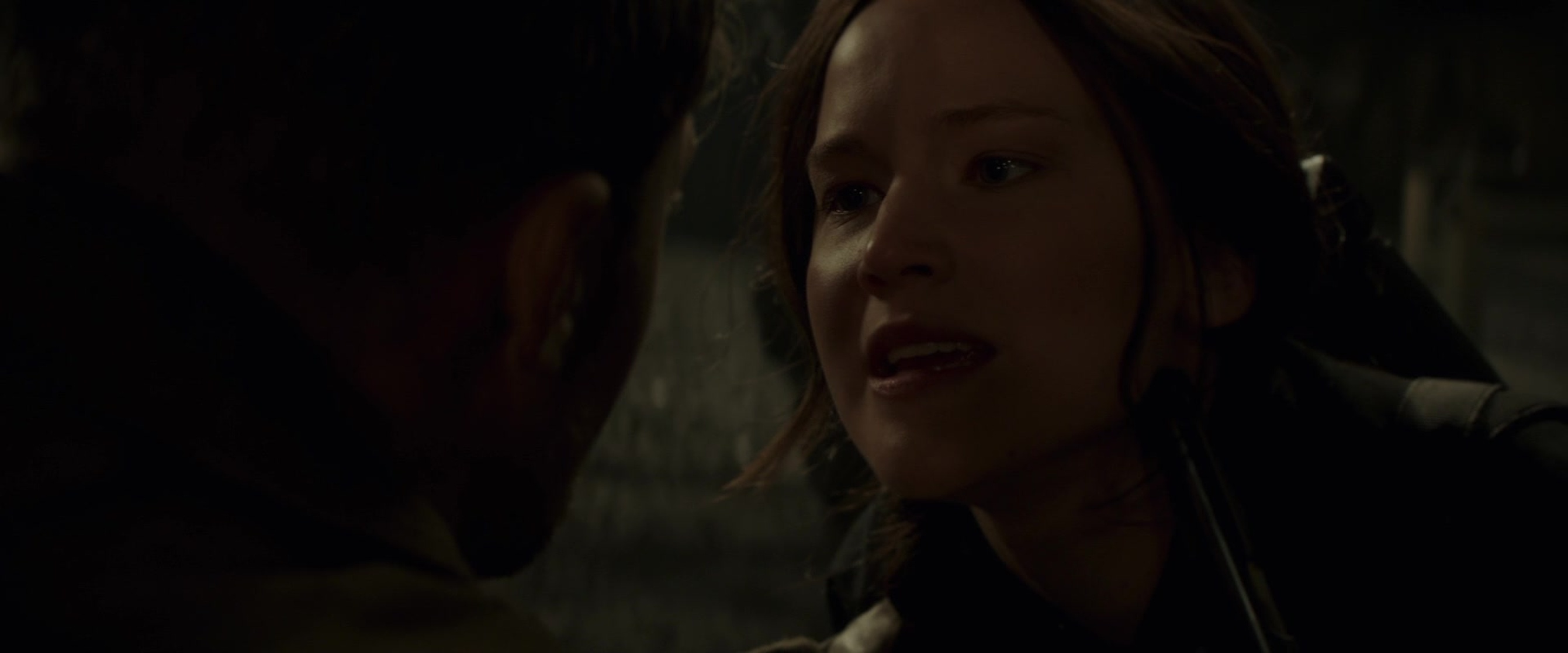 The Hunger Games: Mockingjay - Part 2