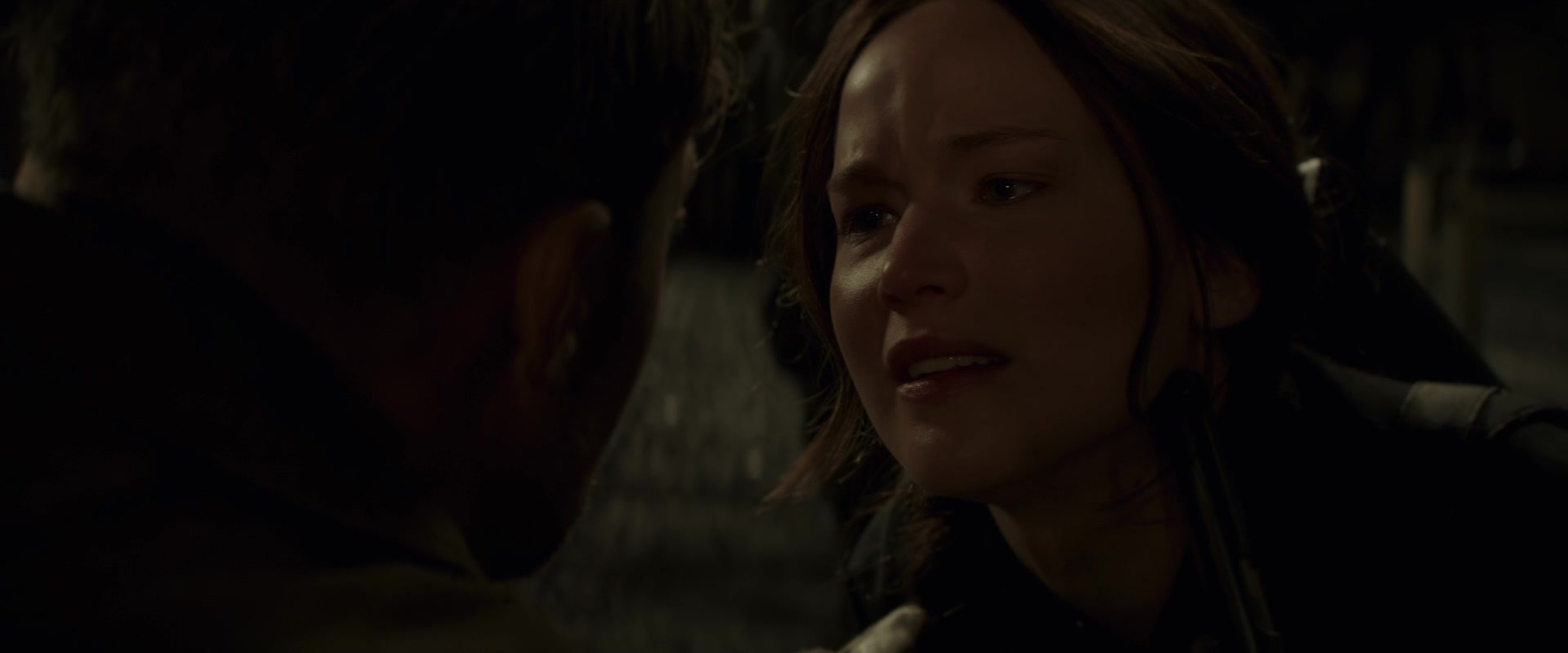 The Hunger Games: Mockingjay - Part 2
