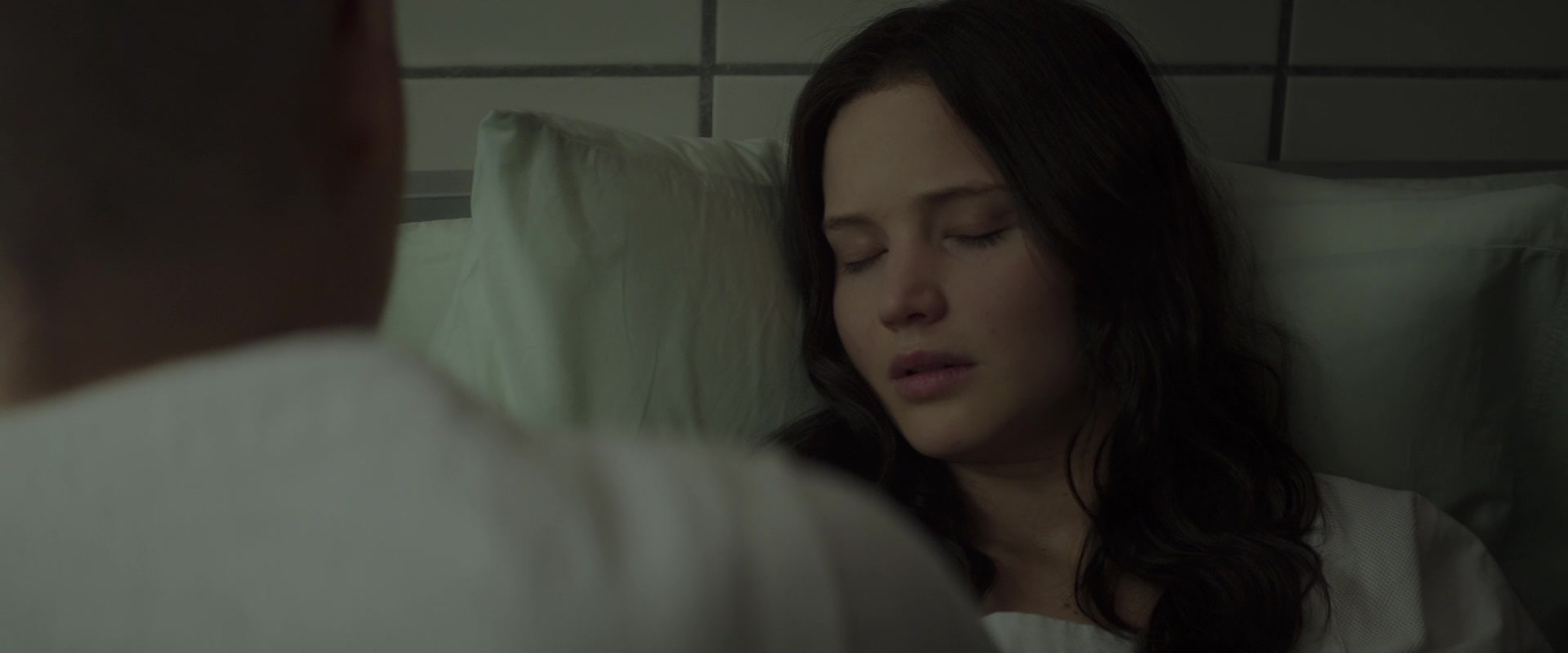 The Hunger Games: Mockingjay - Part 2