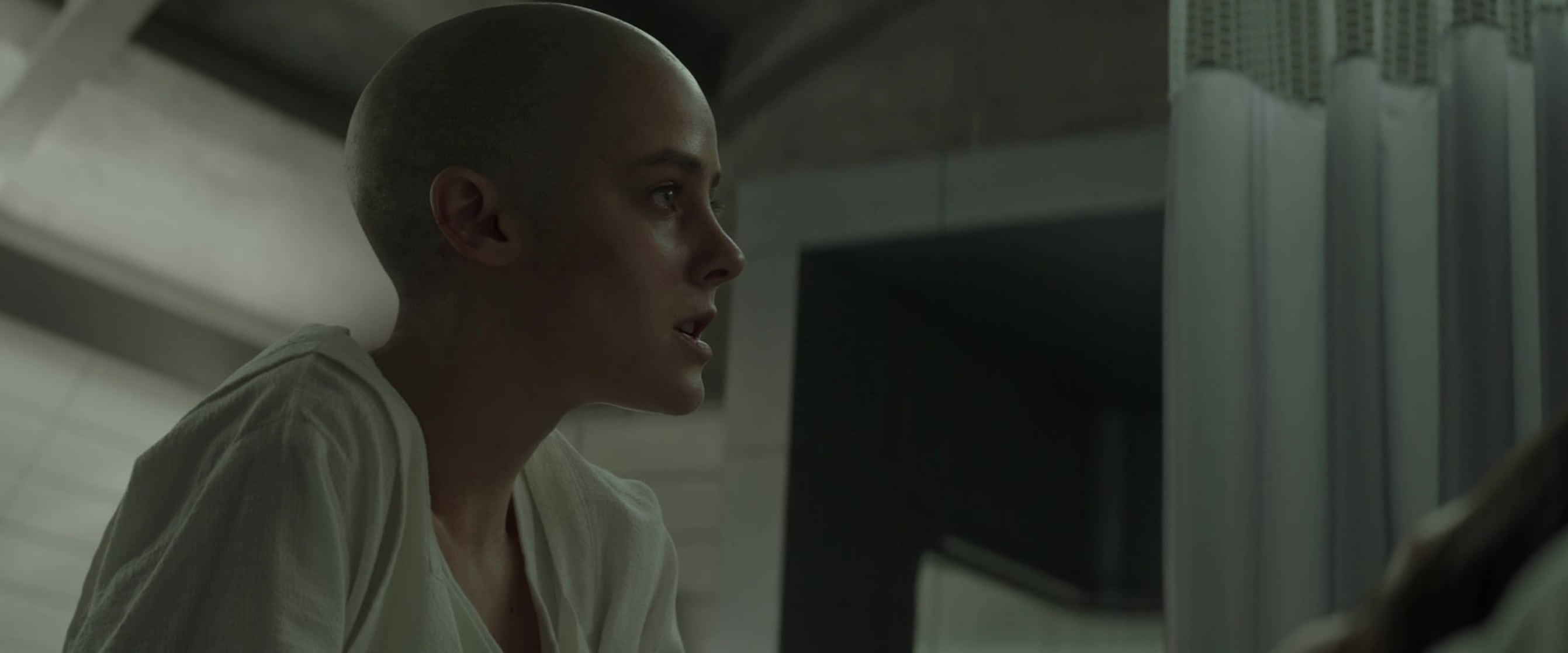 The Hunger Games: Mockingjay - Part 2