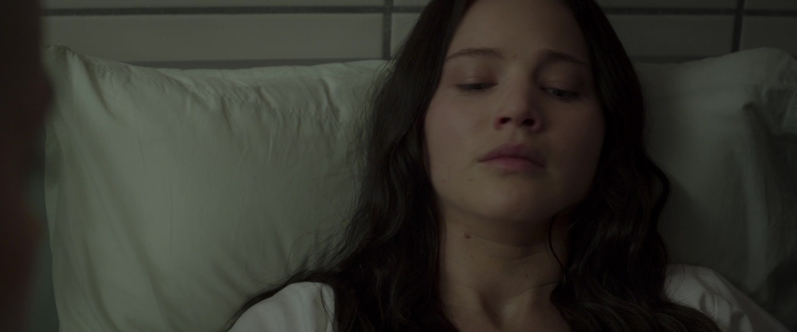 The Hunger Games: Mockingjay - Part 2