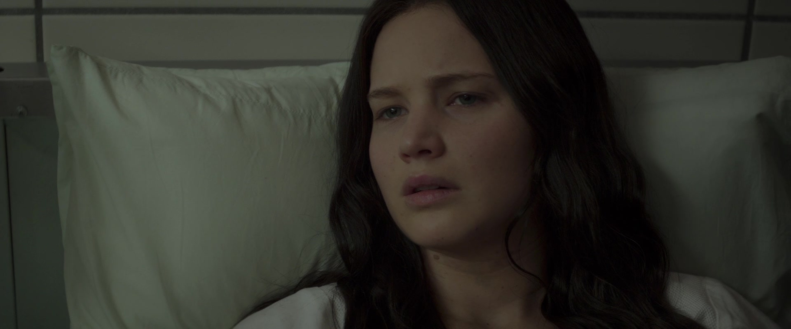 The Hunger Games: Mockingjay - Part 2