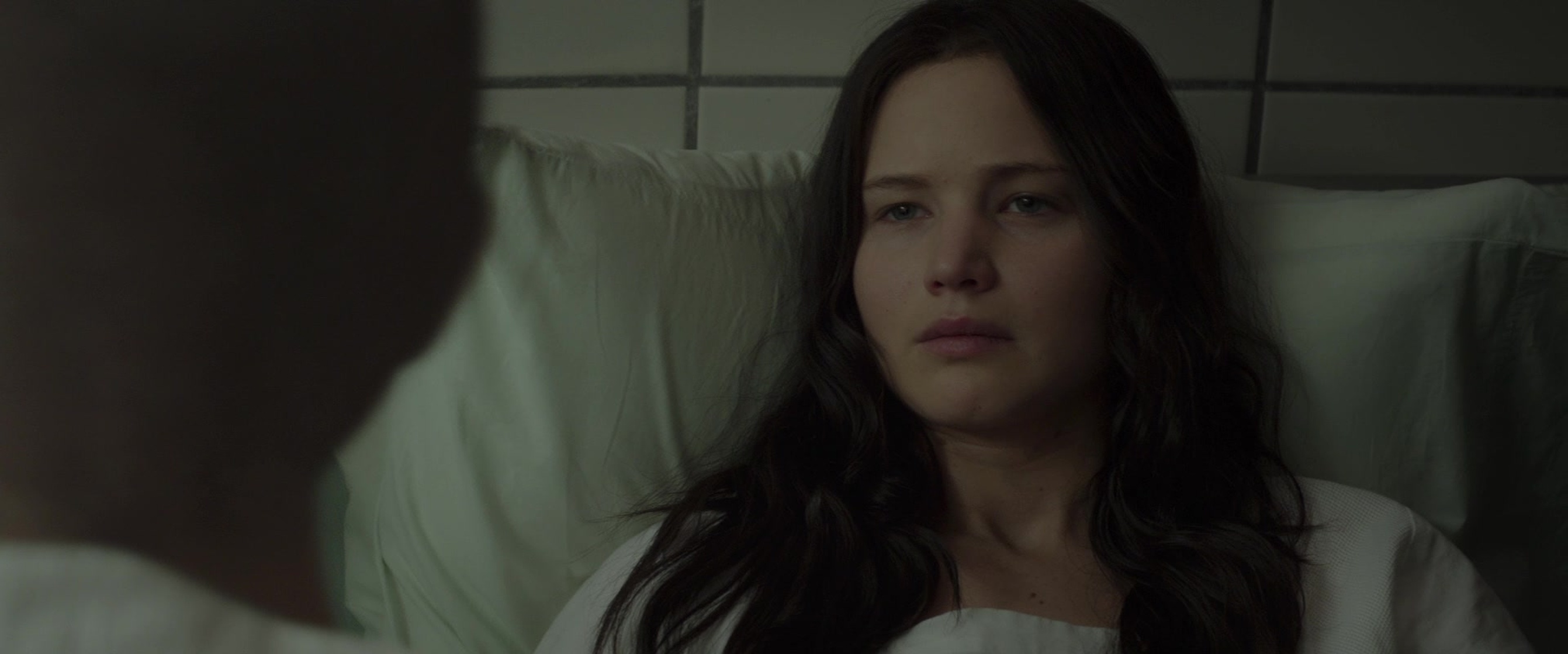 The Hunger Games: Mockingjay - Part 2