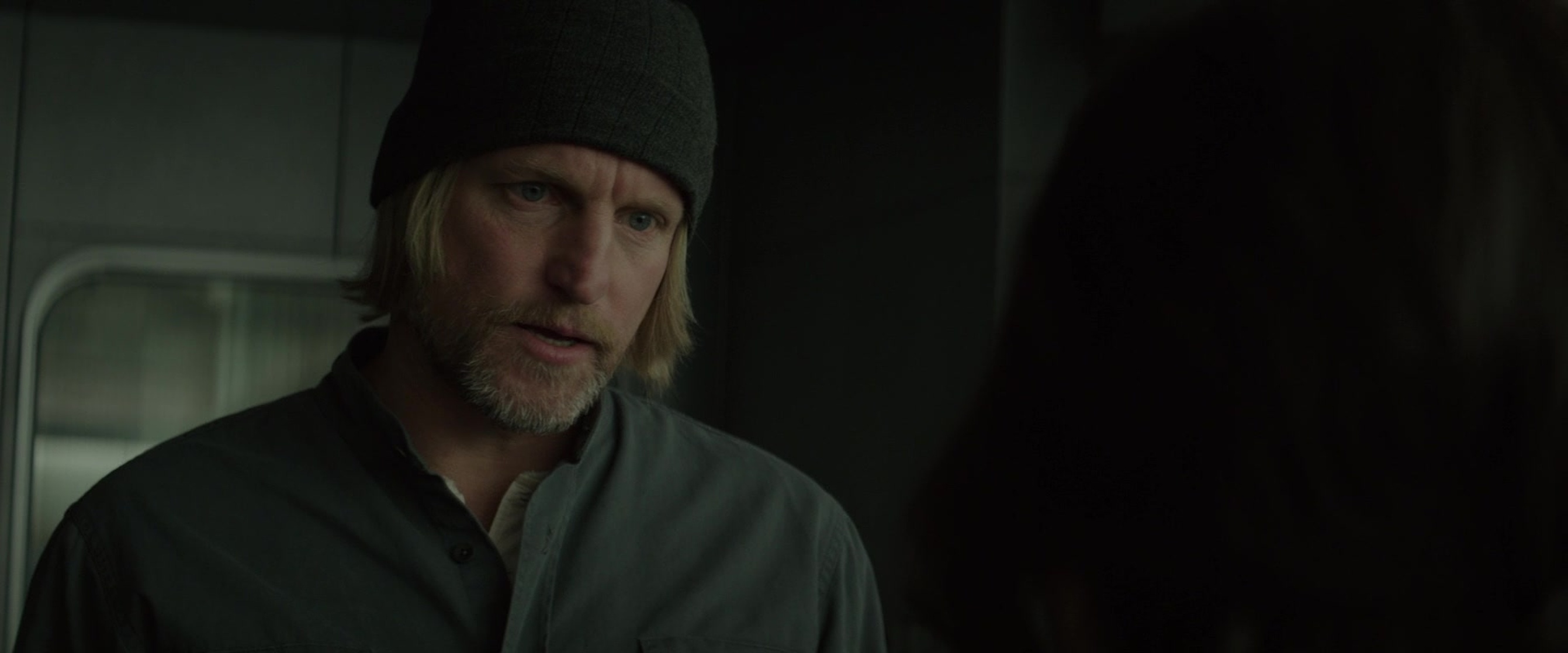 The Hunger Games: Mockingjay - Part 2