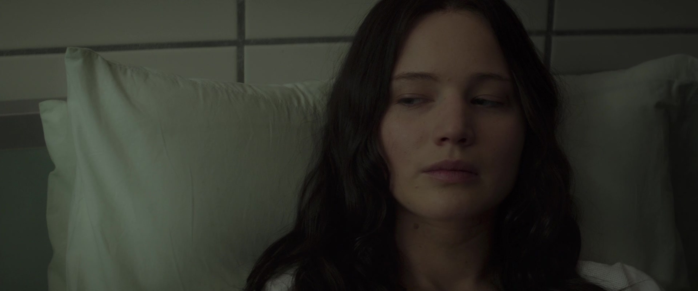 The Hunger Games: Mockingjay - Part 2