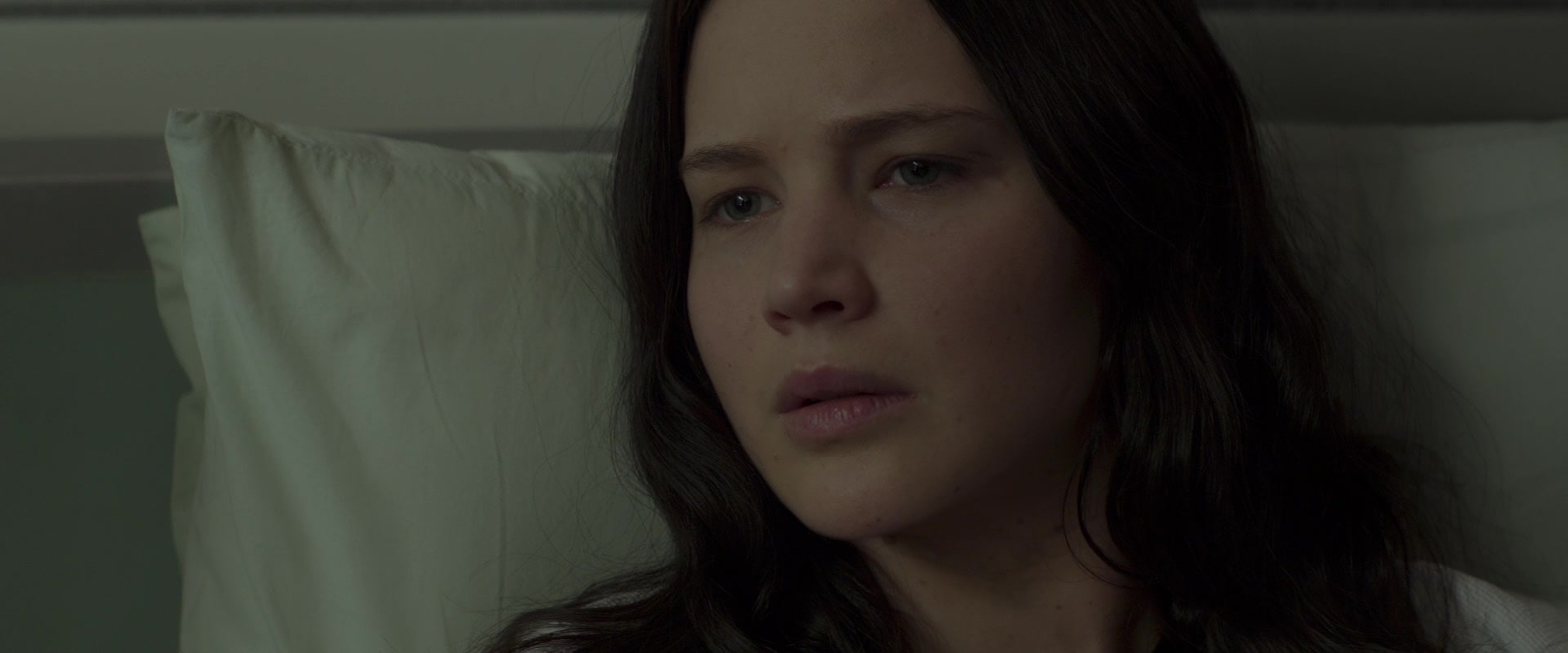 The Hunger Games: Mockingjay - Part 2
