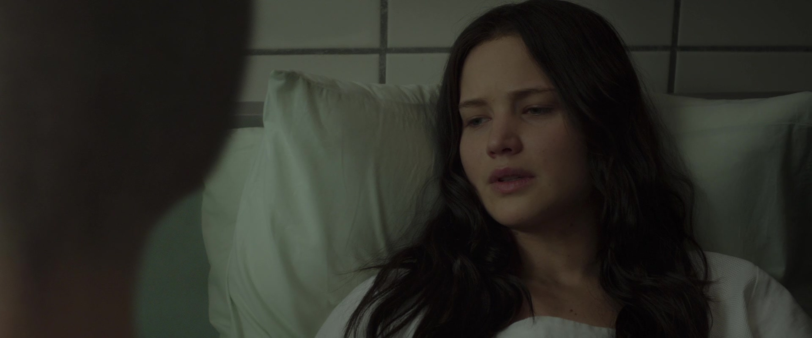 The Hunger Games: Mockingjay - Part 2