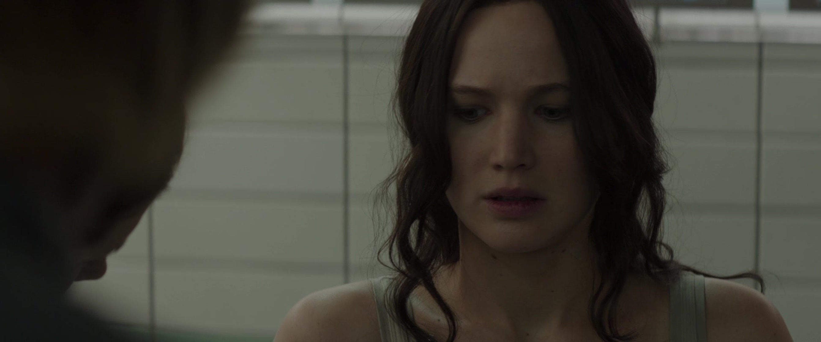 The Hunger Games: Mockingjay - Part 2