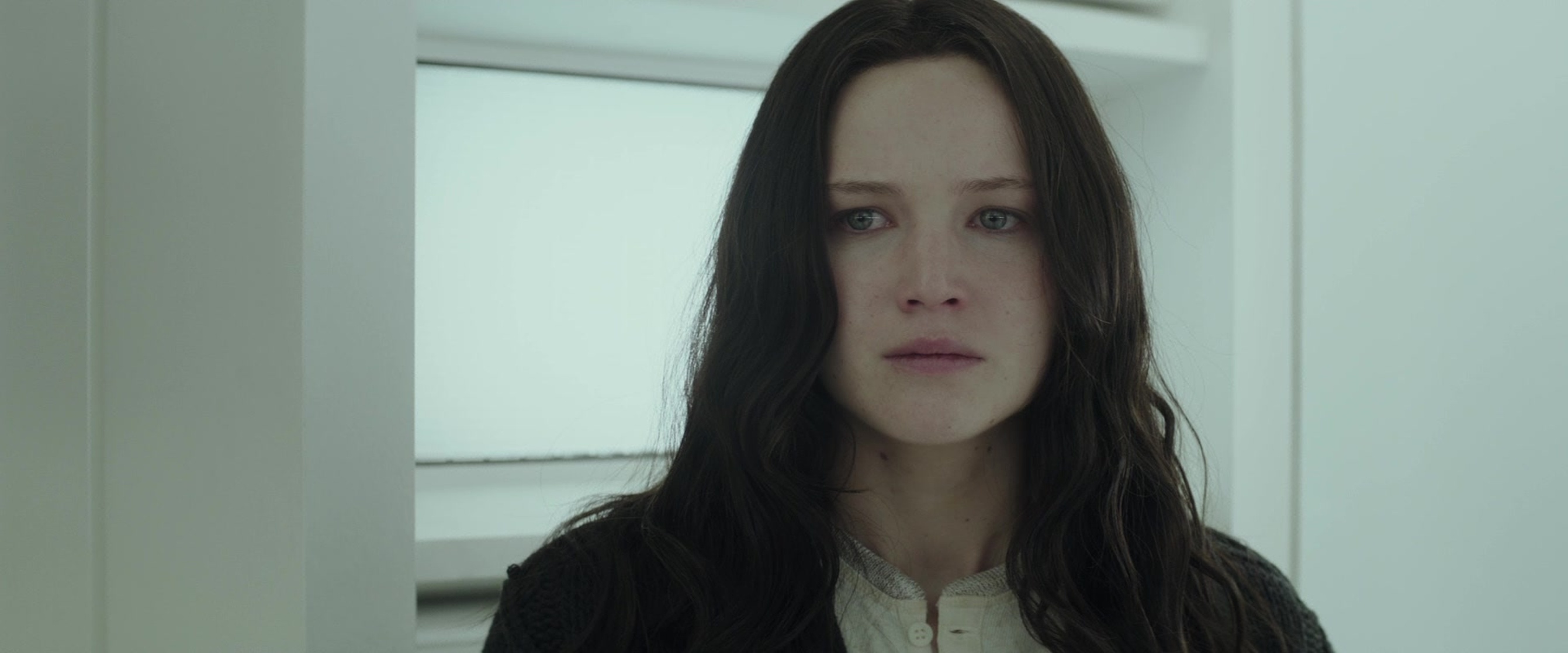 The Hunger Games: Mockingjay - Part 2