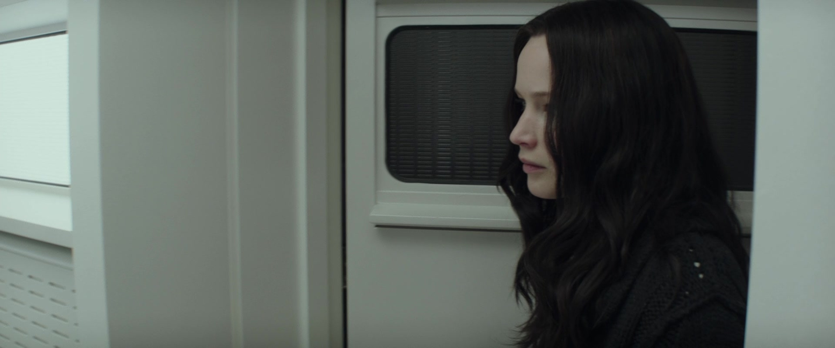 The Hunger Games: Mockingjay - Part 2