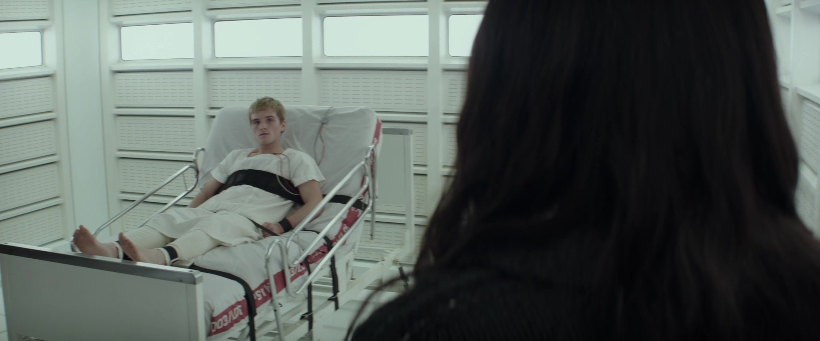 The Hunger Games: Mockingjay - Part 2