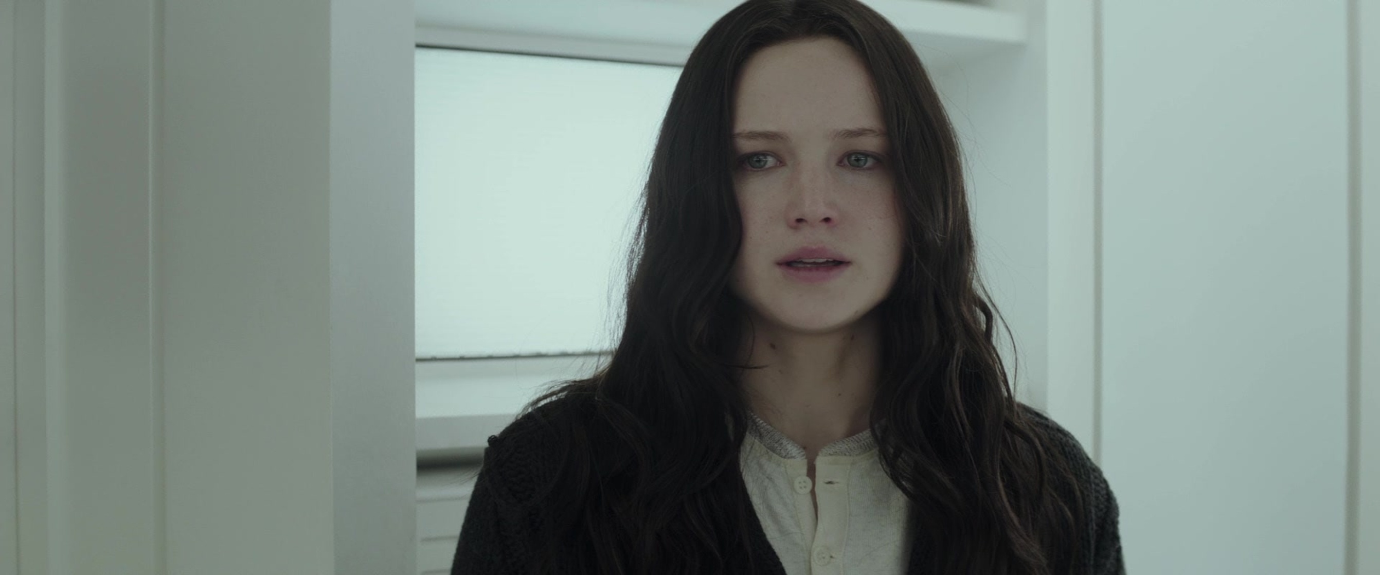 The Hunger Games: Mockingjay - Part 2