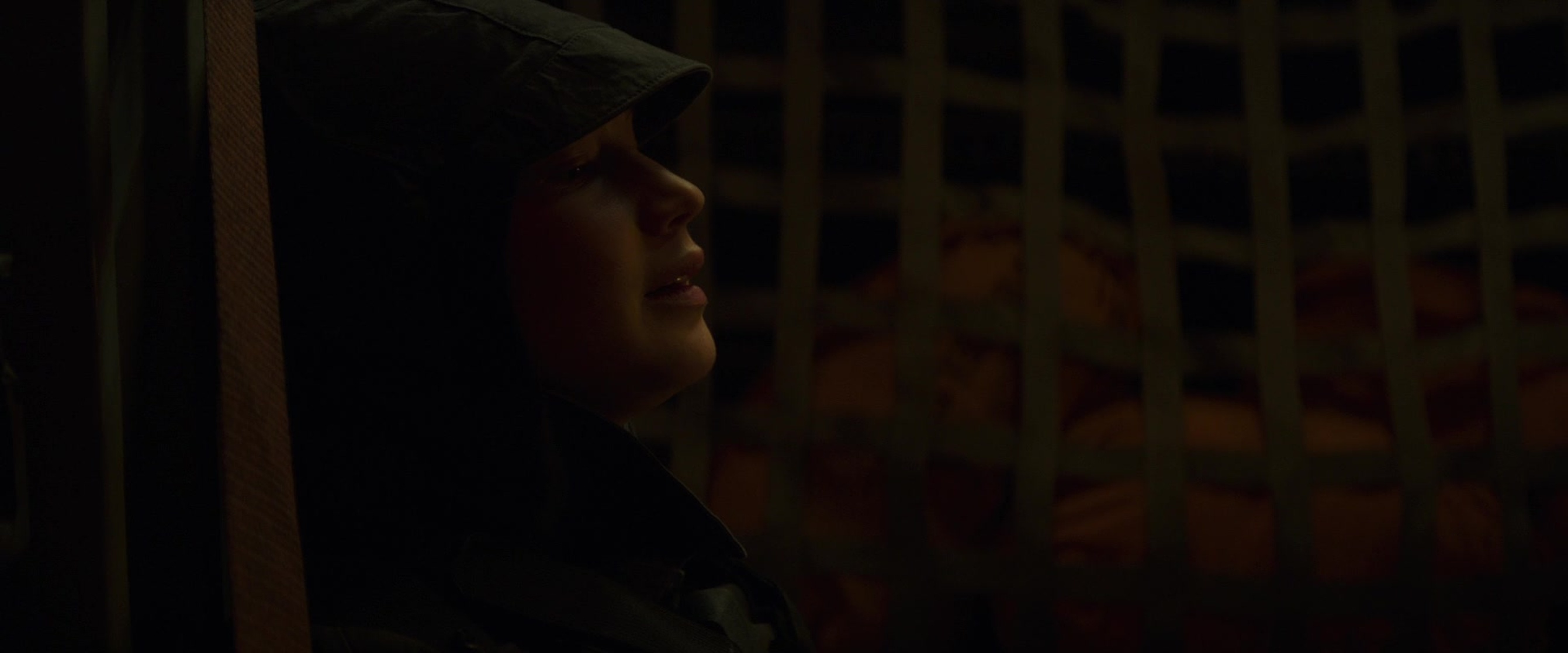 The Hunger Games: Mockingjay - Part 2