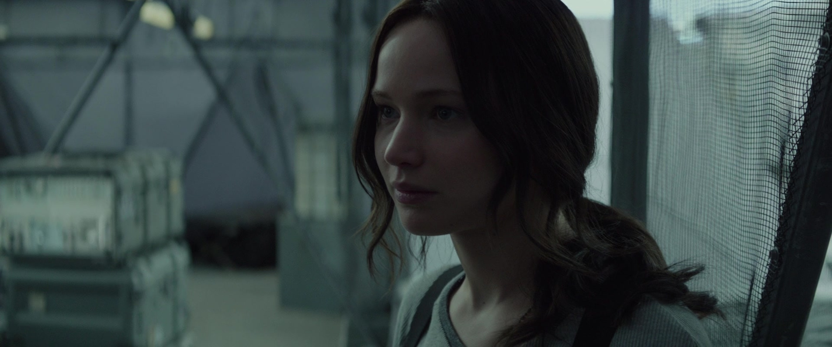 The Hunger Games: Mockingjay - Part 2