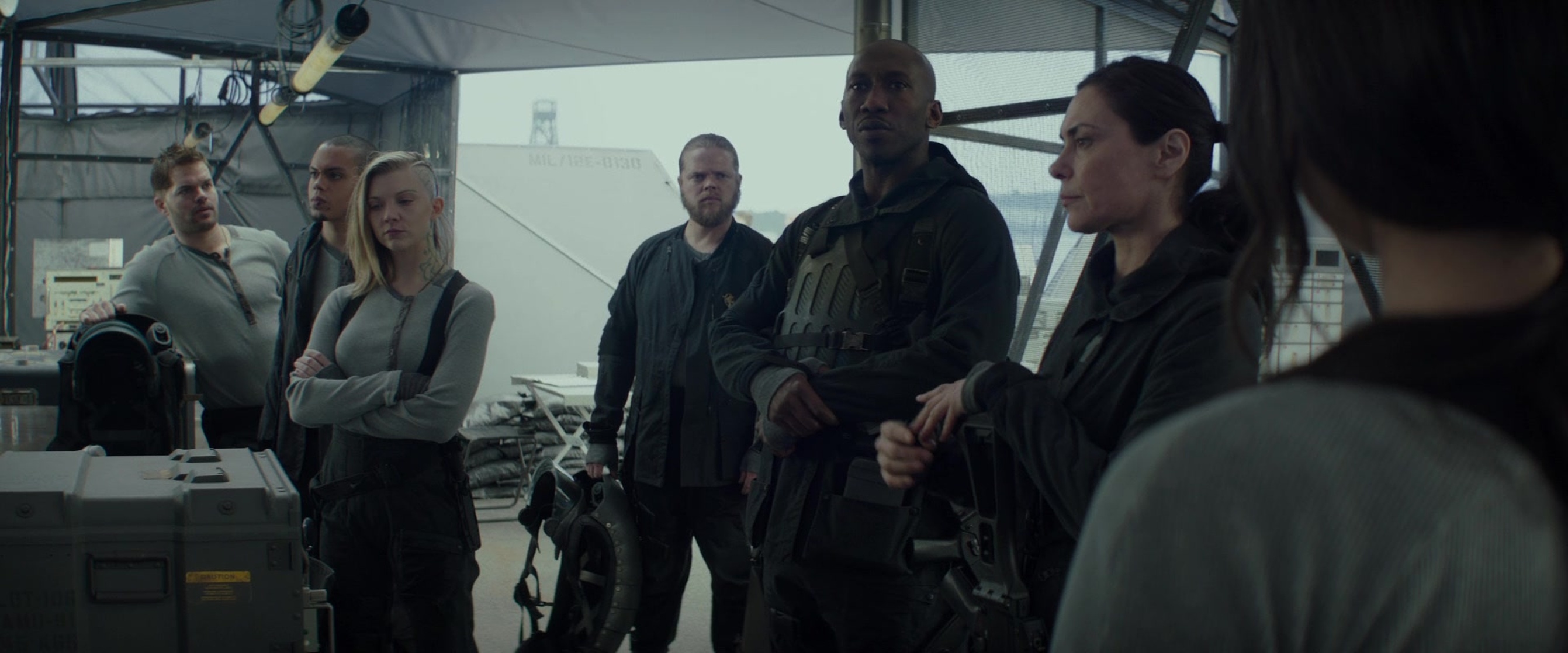 The Hunger Games: Mockingjay - Part 2